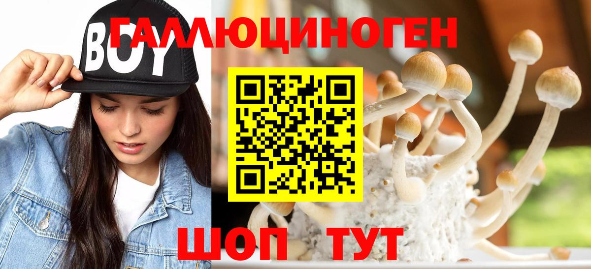 Галлюциногенные грибы Cubensis  закладки  Сибай  Вход с VPN 